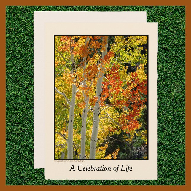 Celebration of Life, Three Aspens in Autumn Invitation (Creator Uploaded)