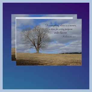 Celebration of Life To Everything There Is Season Invitation