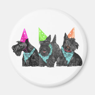 Celebration Scotties in Party Hats Magnet