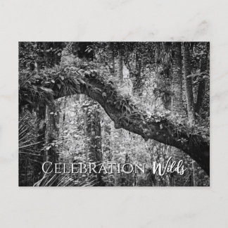 Celebration Wilds Postcard