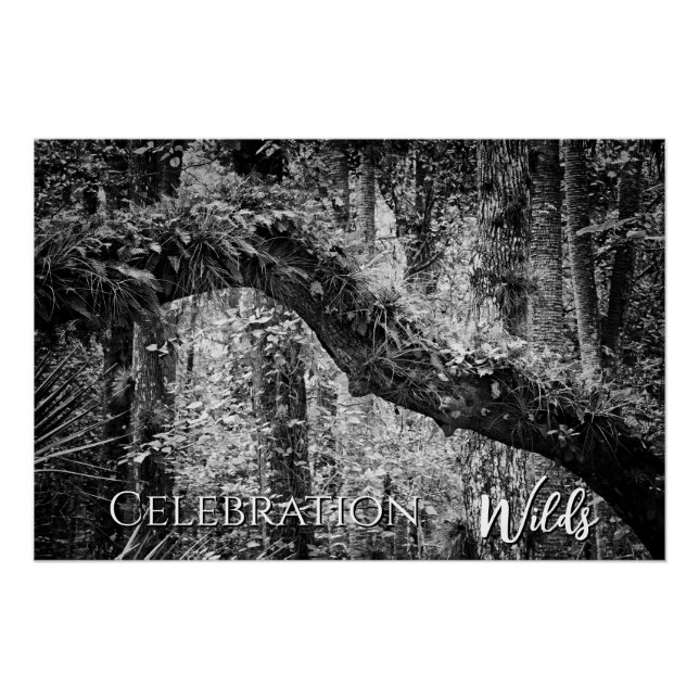Celebration Wilds Poster (Front)