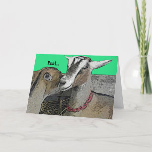 Celebratory Humour Greeting Card