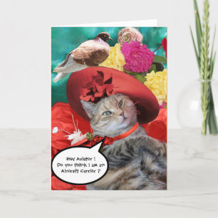CELEBRITY CAT PRINCESS TATUS, RED HAT WITH PIGEON CARD