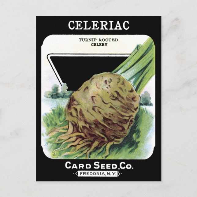 Celeriac Root Vegetable Vintage Seed Packet Black Postcard (Front)