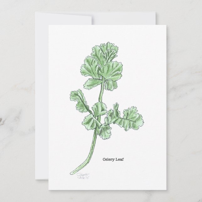Celery Leaf Invitation (Front)