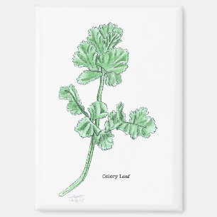Celery Leaf Magnet