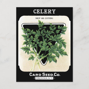 Celery Seed Packet Green Black Vegetable Garden Postcard