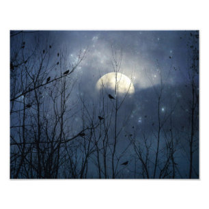 Celestial Blue Crystal Crows Photo Print