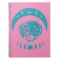 Celestial Crecent Moon Possum Whimsical Nature 