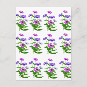 Celestial Floral Spiritual Minimalist Design Holiday Postcard