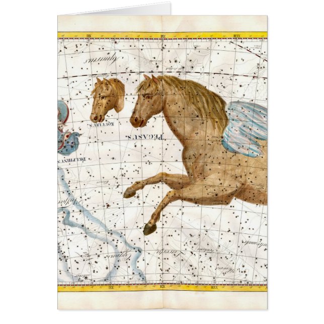 Celestial Map Pegasus (Front)
