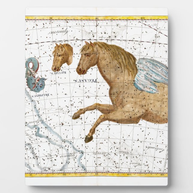 Celestial Map Pegasus Plaque (Front)