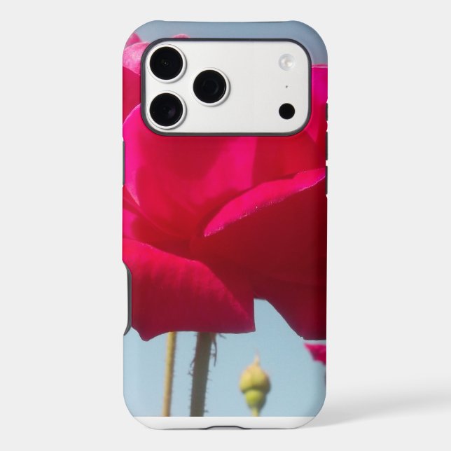 Celestial Rose | Beautiful Red Bloom Against Blue  (Back)