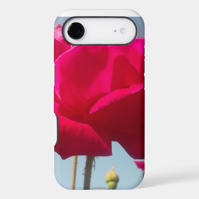 Celestial Rose | Beautiful Red Bloom Against Blue  (Back)