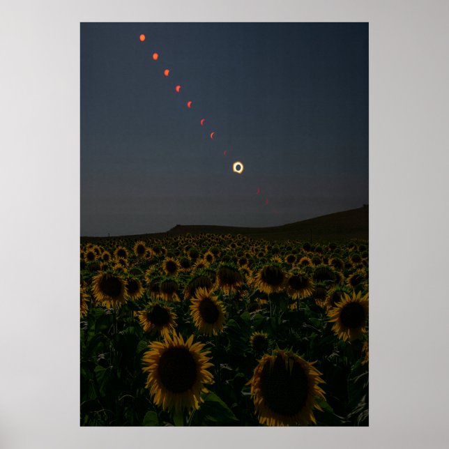 Celestial Sunflower Field Art Print  (Front)