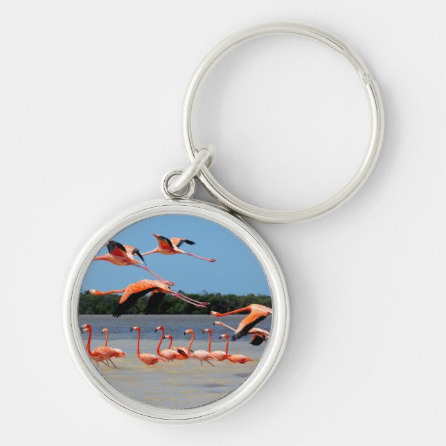 Celestun Biosphere Reserve Key Ring (Front)