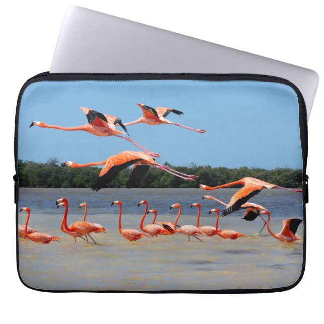 Celestun Biosphere Reserve Laptop Sleeve (Front)