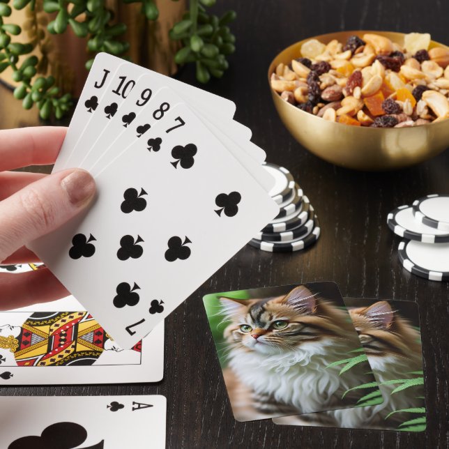 Celia The Cubby Persian Cat, Deck Of Playing Cards (In Situ)