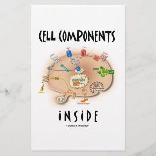Cell Components Inside