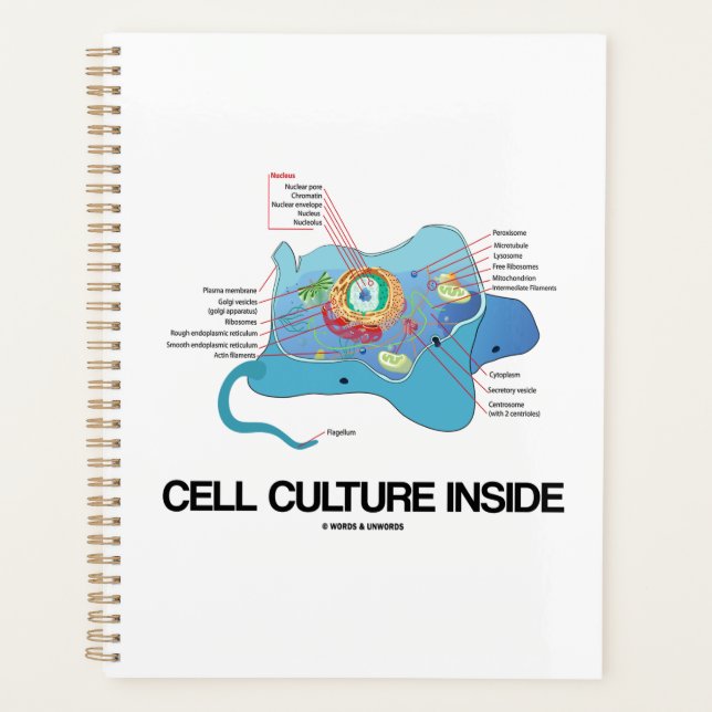 Cell Culture Inside Eukaryotic Cell Planner (Front)