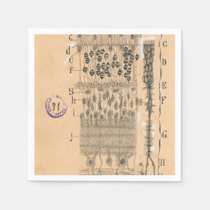 Cell Drawing Eye Retina Santiago Ramon Y Cajal Napkin
