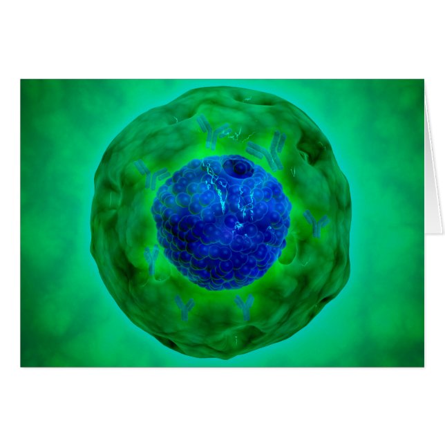 Cell Nucleus With Chromosome 1 (Front Horizontal)