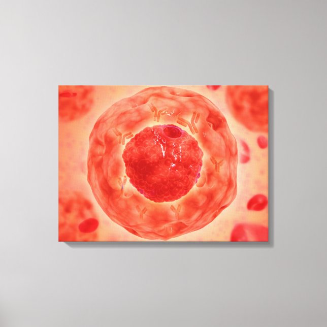 Cell Nucleus With Chromosome 2 Canvas Print (Front)