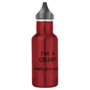 Cellist Excuse 532 Ml Water Bottle
