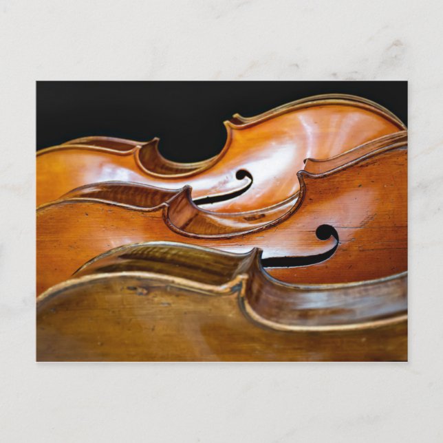 Cello Trio Music Strings Postcard (Front)
