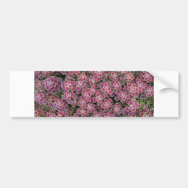 cellular bumper sticker (Front)