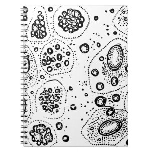 Cellular Design Notebook