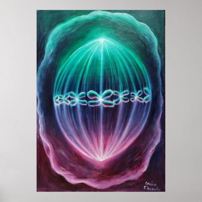 Cellular divizion poster (Front)