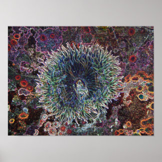 Cellular Origins Poster