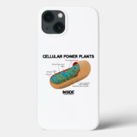 Cellular Power Plants Inside Mitochondrion