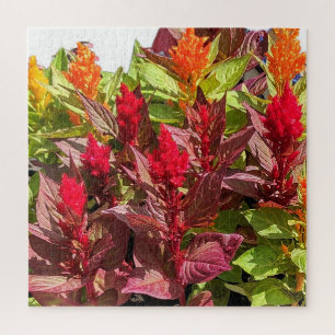 CELOSIA FLOWERS JIGSAW PUZZLE
