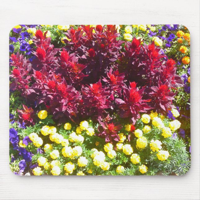 Celosia Marigold Petunia Flower Patch Mousepad (Front)