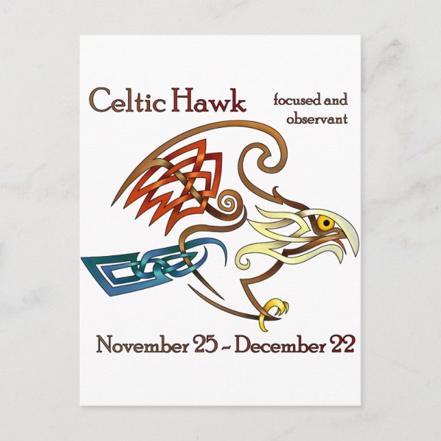 Celtic Hawk Postcard (Front)