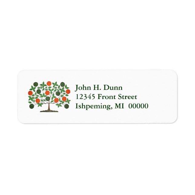 Celtic Irish Family Tree Green & Orange Labels (Front)