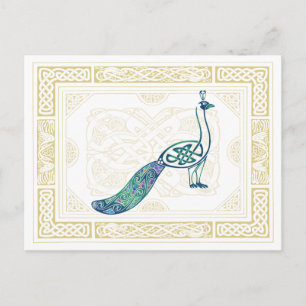 Celtic Peacock Postcard