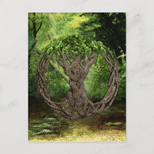 Celtic Tree Of Life Postcard