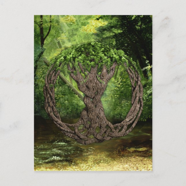 Celtic Tree Of Life Postcard (Front)