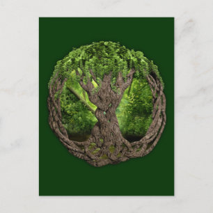 Celtic Tree Of Life Postcard