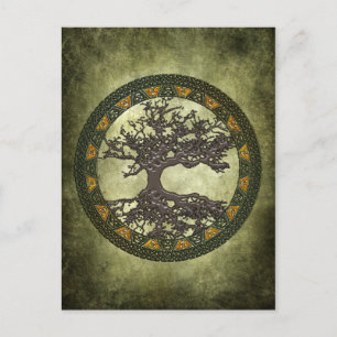 Celtic Tree of Life [Yggdrasil] Postcard