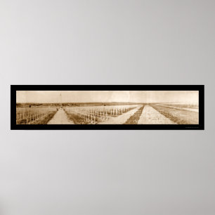 Cemetery France WWI Photo 1919 Poster