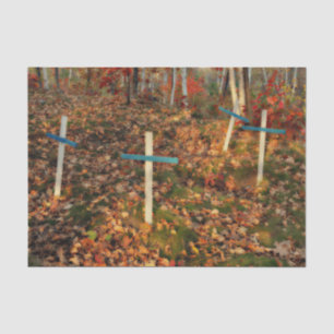 Cemetery Gothic Crosses Autumn Orange Leaves Tissue Paper