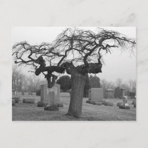Cemetery Postcard