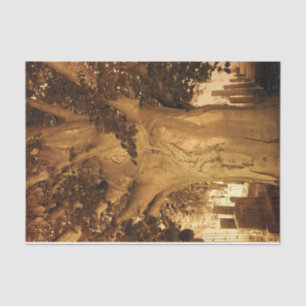 Cemetery Vintage Antique Sepia Tree Sheet Music