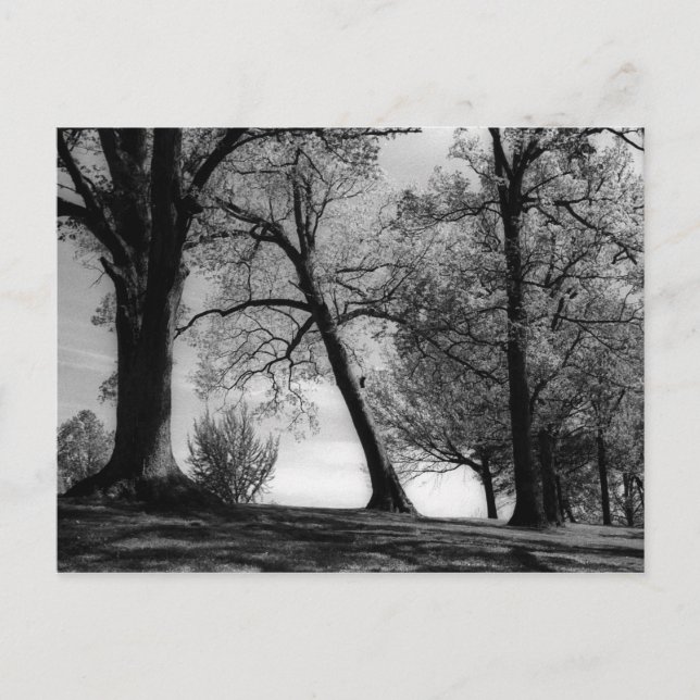 Cemscape Postcard (Front)