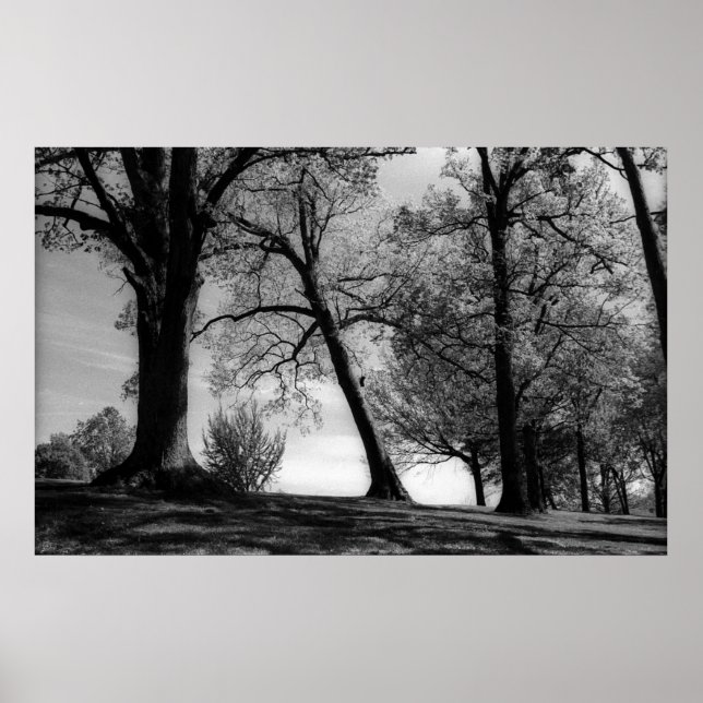 Cemscape Poster (Front)