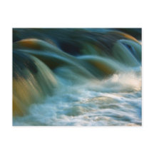 Cenarth Falls